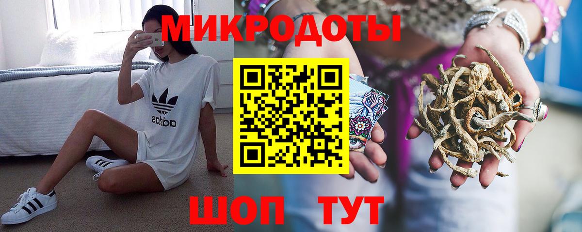 Галлюциногенные грибы GOLDEN TEACHER  Вход с VPN  Тамбов 
